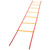 ECONOMY AGILITY LADDER